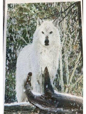 White Wolf Christmas Garden Flag Holiday Party Banner Snow Forest Winter Decor